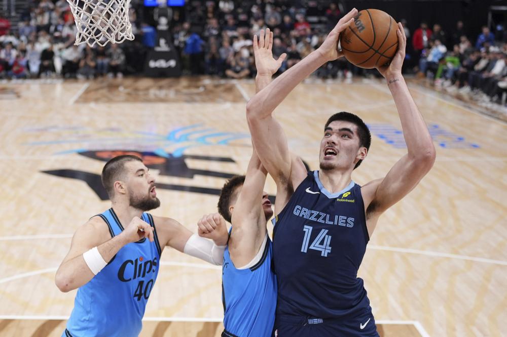 这种坚韧的 这种坚韧的